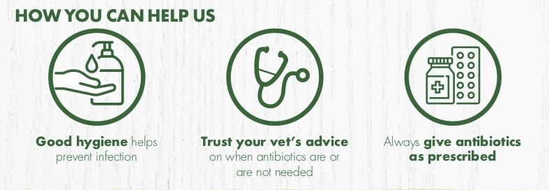 Davies Veterinary Specialists Pet owner tips for antibiotic resistance